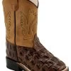 Old West Toddler Boys' Faux Horn Back Gator Print Western Boots - Broad Square Toe 2 Old West Toddler Boys' Faux Horn Back Gator Print Western Boots - Broad Square Toe -Best Cowboy Boot Store 2000291927 200 P1