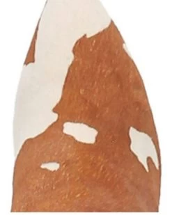 Dingo Women's Mane Tamer Fashion Booties - Pointed Toe -Best Cowboy Boot Store 2000344410 280 P6