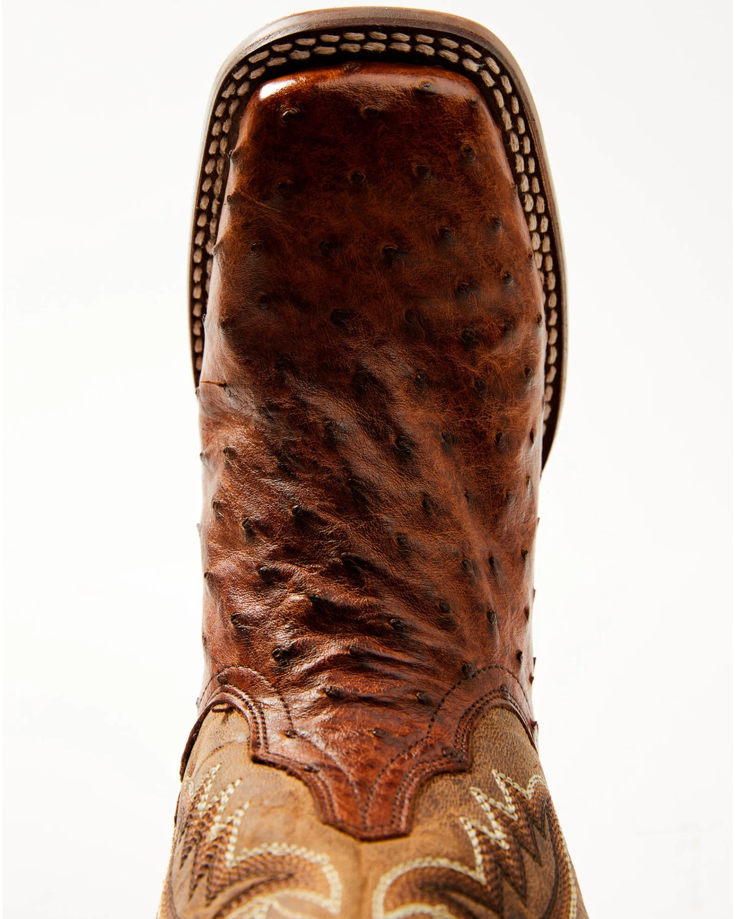 Dan Post Women's Exotic Full-Quill Ostrich Western Boots - Broad Square Toe 8 Dan Post Women's Exotic Full-Quill Ostrich Western Boots - Broad Square Toe - Image 6